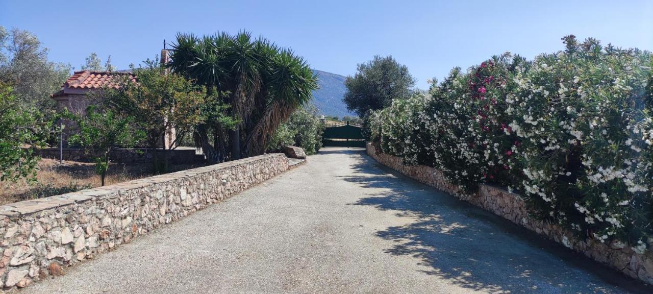 Ellie'S Stonehouse Gianapa, Porto Rafti, Greece, 190 03, Gr Villa Eksteriør billede